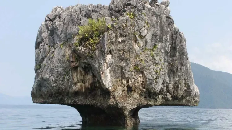 Batu Payung via Pemkab Morut, 1. Air Terjun Menduru, 2. Permandian Panapa, 3. Danau Lowo, 4. Muara Bajoe, 5. Danau Tiu, 6. Goa Tamanoa Wawopada, 7. Istana Raja Mori, 8. Batu Payung, 9. Teluk Tomori, 10. Bukit Teletubies, 11. Pulau Togonteo, 12. Pantai Ungkea, 13. Air Terjun Boba, 14. Air Terjun Wera Blanga, 15. Hutan Pinus Tepotowoa, 16. Pulau Gurita, 17. Hutan Mangrove Koya, 18. Air Terjun Mataruttung, 19. Pemandian Lemboroma, 20. Pemandian Korowalelo, 21. Tompa Ofoi, 22. Pantai Jompi, 23. Pulau Rumbia, 24. Pulau Pengia