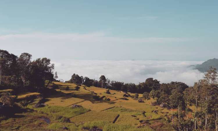 Batu Tumongo, 1. Wisata Londa, 2. Wisata Kete Kesu, 3. Musem Ne’ Gandeng, 4. Batu Tumongo, 5. Kompleks Megalit Kalimbuang Bori, 6. Wisata Ranteallo, 7. Agrowisata Pango-Pango, 8. Patung Yesus Buntu Burake, 9. Tongkonan Pallawa, 10. Danau Limbong, 11. Gumuk Pasir Sumalu, 12. Objek Wisata Palawa, 13. Air Terjun Talondo Tallu, 14. Wisata Ollon, 15. Mata Air Tilanga, 16. Wisata Air Terjun Kalean, 17. Tampang Allo, 18. Air Terjun Sarambu Assing, 19. Hamparan Sawah Toraja, 20. Lokomata, 21. Kampung Lolai, 22. Gunung Sesean, 23. Pohon Tarra, 24. Air Terjun Tujuh Tingkat, 25. Air Terjun Sarambu Sikore, 26. Marante Tondon