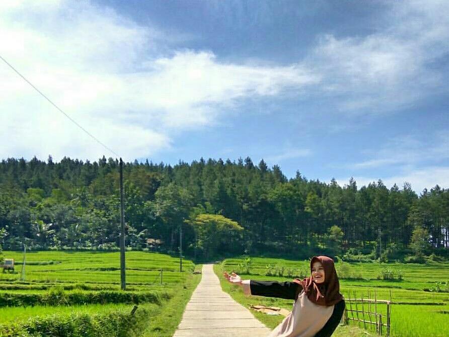 Bukit Sleker via Instagram.com @muflichatul_azizah, 1. Candi Borobudur, 2. Rafting di Sungai Progo Atas, 3. Alun-alun Kota Magelang, 4. Air Terjun Kedung Kayang, 5. Taman Kyai Langgeng, 6. Ketep Pass, 7. Air Terjun Sekar Langit, 8. Rumah Kamera, 9. Candi Mendut, 10. Candi Pawon, 11. Gunung Andong, 12. Candi Selogriyo, 13. Gunung Tidar, 14. Curug Grenjengan Kembar, 15. Punthuk Setumbu, 16. Trekking Gunung Merbabu, 17. Curug Silawe, 18. Pemandian Air Hangat Candi Umbul, 19. Taman Badaan, 20. Museum Sudirman, 21. Pinusan Kragilan Magelang, 22. Candi Canggal, 23. Candi Ngawen, 24. Candi Lumbung, 25. Pemandian Kali Bening, 26. Air Terjun Kedung Kayangan, 27. Gardu Pandang Babadan, 28. Arung Jeram Kali Elo, 29. Telaga Bleder, 30. Gardu Pandang Bukit Barede, 31. Gardu Pandang Dlimas, 32. Gardu Pandang Mangli, 33. Sukmojoyo Hill, 34. Hutan Pinus Grenden, 35. Gereja Ayam di Dusun Gombong, 36. Punthuk Setumbu, 37. Kedung Sembrani, 38. Gunung Telomoyo, 39. Silancur Highland, 40. Bukit Grenden, 41. Curug Sigetik, 42. Puntuk Mangir Gunung Payung, 43. Bukit Rhema, 44. Hutan Pinus Wisata Mangli, 45. Jurang Jero, 46. OHD Museum, 47. Gunung Giyanti, 48. Curug Watu Ploso, 49. Klenteng Liong Hok Bio, 50. Curug Gleyor, 51. Punthuk Mongkrong, 52. Bukit Sleker, 53. Curug Lawang Kori, 54. Bukit kertojoyo, 55. Taman Ramadanu, 56. Puncak Seoloyo, 57. Taman Wisata Kopeng, 58. Bukit Gancik Selo Boyolali, 59. Gunung Sumbing, 60. Punthuk Kendil, 61. Bukit Harapan Cuntel, 62. Kebun Durian Candimulyo, 63. Jembatan Gantung Mangunsuko, 64. Air Terjun Goa Slandak, 65. Air Terjun Sumuran, 67. Museum Kapal Samudraraksa, 68. Karesidenan Kedu, 69. New Selo, 70. Taman Dewari, 71. Desa Wisata Candirejo, 72. Svargabumi Borobudur, 73. Awang-awang Telomoyo, 74. Ladon Little Island, 75. Candi Retno, 76. Wisata Petik Salak Gapoktan Ngudi Luhur, 77. Pesona Cempurung, 78. Gardu Pandang Cepogo, 79. Taman Garempong Bringin Kulon, 80. Sendang Mudal, 81. Curug Dlimas, 82. Museum Diponegoro, 83. Curug Sikencling, 84. Sendang Maren, 85. Citraelo Rafting, 86. Desa Wisata Ngawen, 87. Wisata Kulon Ndeso, 88. Taman Bunga Matahari, 89. Taman Hanya Untukmu, 90. Junkyard Autopark & Cafe, 91. Balkondes Ngadiharjo, 92. Banyuroto, 93. Bukit Dagi, 94. Jembatan Gantung Srowol, 95. Candi Asu, 96. Persawahan Permitan, 97. Bakorwil II Magelang, 98. Kebun Bibit Senopati