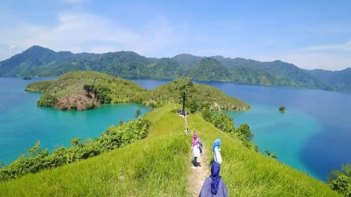Bukit Teletubies Sumber Foto Pemkab Morut, 1. Air Terjun Menduru, 2. Permandian Panapa, 3. Danau Lowo, 4. Muara Bajoe, 5. Danau Tiu, 6. Goa Tamanoa Wawopada, 7. Istana Raja Mori, 8. Batu Payung, 9. Teluk Tomori, 10. Bukit Teletubies, 11. Pulau Togonteo, 12. Pantai Ungkea, 13. Air Terjun Boba, 14. Air Terjun Wera Blanga, 15. Hutan Pinus Tepotowoa, 16. Pulau Gurita, 17. Hutan Mangrove Koya, 18. Air Terjun Mataruttung, 19. Pemandian Lemboroma, 20. Pemandian Korowalelo, 21. Tompa Ofoi, 22. Pantai Jompi, 23. Pulau Rumbia, 24. Pulau Pengia