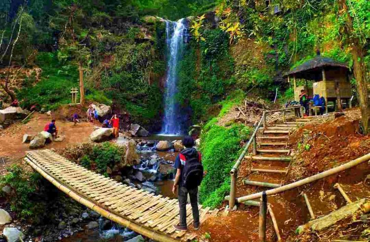 Curug Delimas, 1. Candi Borobudur, 2. Rafting di Sungai Progo Atas, 3. Alun-alun Kota Magelang, 4. Air Terjun Kedung Kayang, 5. Taman Kyai Langgeng, 6. Ketep Pass, 7. Air Terjun Sekar Langit, 8. Rumah Kamera, 9. Candi Mendut, 10. Candi Pawon, 11. Gunung Andong, 12. Candi Selogriyo, 13. Gunung Tidar, 14. Curug Grenjengan Kembar, 15. Punthuk Setumbu, 16. Trekking Gunung Merbabu, 17. Curug Silawe, 18. Pemandian Air Hangat Candi Umbul, 19. Taman Badaan, 20. Museum Sudirman, 21. Pinusan Kragilan Magelang, 22. Candi Canggal, 23. Candi Ngawen, 24. Candi Lumbung, 25. Pemandian Kali Bening, 26. Air Terjun Kedung Kayangan, 27. Gardu Pandang Babadan, 28. Arung Jeram Kali Elo, 29. Telaga Bleder, 30. Gardu Pandang Bukit Barede, 31. Gardu Pandang Dlimas, 32. Gardu Pandang Mangli, 33. Sukmojoyo Hill, 34. Hutan Pinus Grenden, 35. Gereja Ayam di Dusun Gombong, 36. Punthuk Setumbu, 37. Kedung Sembrani, 38. Gunung Telomoyo, 39. Silancur Highland, 40. Bukit Grenden, 41. Curug Sigetik, 42. Puntuk Mangir Gunung Payung, 43. Bukit Rhema, 44. Hutan Pinus Wisata Mangli, 45. Jurang Jero, 46. OHD Museum, 47. Gunung Giyanti, 48. Curug Watu Ploso, 49. Klenteng Liong Hok Bio, 50. Curug Gleyor, 51. Punthuk Mongkrong, 52. Bukit Sleker, 53. Curug Lawang Kori, 54. Bukit kertojoyo, 55. Taman Ramadanu, 56. Puncak Seoloyo, 57. Taman Wisata Kopeng, 58. Bukit Gancik Selo Boyolali, 59. Gunung Sumbing, 60. Punthuk Kendil, 61. Bukit Harapan Cuntel, 62. Kebun Durian Candimulyo, 63. Jembatan Gantung Mangunsuko, 64. Air Terjun Goa Slandak, 65. Air Terjun Sumuran, 67. Museum Kapal Samudraraksa, 68. Karesidenan Kedu, 69. New Selo, 70. Taman Dewari, 71. Desa Wisata Candirejo, 72. Svargabumi Borobudur, 73. Awang-awang Telomoyo, 74. Ladon Little Island, 75. Candi Retno, 76. Wisata Petik Salak Gapoktan Ngudi Luhur, 77. Pesona Cempurung, 78. Gardu Pandang Cepogo, 79. Taman Garempong Bringin Kulon, 80. Sendang Mudal, 81. Curug Dlimas, 82. Museum Diponegoro, 83. Curug Sikencling, 84. Sendang Maren, 85. Citraelo Rafting, 86. Desa Wisata Ngawen, 87. Wisata Kulon Ndeso, 88. Taman Bunga Matahari, 89. Taman Hanya Untukmu, 90. Junkyard Autopark & Cafe, 91. Balkondes Ngadiharjo, 92. Banyuroto, 93. Bukit Dagi, 94. Jembatan Gantung Srowol, 95. Candi Asu, 96. Persawahan Permitan, 97. Bakorwil II Magelang, 98. Kebun Bibit Senopati