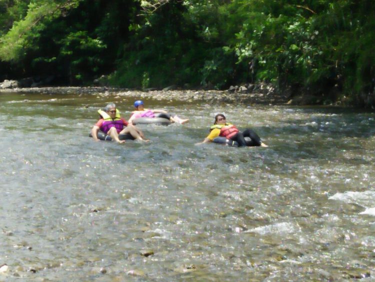 Desa Wisata Ngawen via Info Borobudur, 1. Candi Borobudur, 2. Rafting di Sungai Progo Atas, 3. Alun-alun Kota Magelang, 4. Air Terjun Kedung Kayang, 5. Taman Kyai Langgeng, 6. Ketep Pass, 7. Air Terjun Sekar Langit, 8. Rumah Kamera, 9. Candi Mendut, 10. Candi Pawon, 11. Gunung Andong, 12. Candi Selogriyo, 13. Gunung Tidar, 14. Curug Grenjengan Kembar, 15. Punthuk Setumbu, 16. Trekking Gunung Merbabu, 17. Curug Silawe, 18. Pemandian Air Hangat Candi Umbul, 19. Taman Badaan, 20. Museum Sudirman, 21. Pinusan Kragilan Magelang, 22. Candi Canggal, 23. Candi Ngawen, 24. Candi Lumbung, 25. Pemandian Kali Bening, 26. Air Terjun Kedung Kayangan, 27. Gardu Pandang Babadan, 28. Arung Jeram Kali Elo, 29. Telaga Bleder, 30. Gardu Pandang Bukit Barede, 31. Gardu Pandang Dlimas, 32. Gardu Pandang Mangli, 33. Sukmojoyo Hill, 34. Hutan Pinus Grenden, 35. Gereja Ayam di Dusun Gombong, 36. Punthuk Setumbu, 37. Kedung Sembrani, 38. Gunung Telomoyo, 39. Silancur Highland, 40. Bukit Grenden, 41. Curug Sigetik, 42. Puntuk Mangir Gunung Payung, 43. Bukit Rhema, 44. Hutan Pinus Wisata Mangli, 45. Jurang Jero, 46. OHD Museum, 47. Gunung Giyanti, 48. Curug Watu Ploso, 49. Klenteng Liong Hok Bio, 50. Curug Gleyor, 51. Punthuk Mongkrong, 52. Bukit Sleker, 53. Curug Lawang Kori, 54. Bukit kertojoyo, 55. Taman Ramadanu, 56. Puncak Seoloyo, 57. Taman Wisata Kopeng, 58. Bukit Gancik Selo Boyolali, 59. Gunung Sumbing, 60. Punthuk Kendil, 61. Bukit Harapan Cuntel, 62. Kebun Durian Candimulyo, 63. Jembatan Gantung Mangunsuko, 64. Air Terjun Goa Slandak, 65. Air Terjun Sumuran, 67. Museum Kapal Samudraraksa, 68. Karesidenan Kedu, 69. New Selo, 70. Taman Dewari, 71. Desa Wisata Candirejo, 72. Svargabumi Borobudur, 73. Awang-awang Telomoyo, 74. Ladon Little Island, 75. Candi Retno, 76. Wisata Petik Salak Gapoktan Ngudi Luhur, 77. Pesona Cempurung, 78. Gardu Pandang Cepogo, 79. Taman Garempong Bringin Kulon, 80. Sendang Mudal, 81. Curug Dlimas, 82. Museum Diponegoro, 83. Curug Sikencling, 84. Sendang Maren, 85. Citraelo Rafting, 86. Desa Wisata Ngawen, 87. Wisata Kulon Ndeso, 88. Taman Bunga Matahari, 89. Taman Hanya Untukmu, 90. Junkyard Autopark & Cafe, 91. Balkondes Ngadiharjo, 92. Banyuroto, 93. Bukit Dagi, 94. Jembatan Gantung Srowol, 95. Candi Asu, 96. Persawahan Permitan, 97. Bakorwil II Magelang, 98. Kebun Bibit Senopati