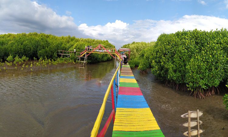 Ekowisata Mangrove Lantebung via Google Maps @Frenky Hizkia