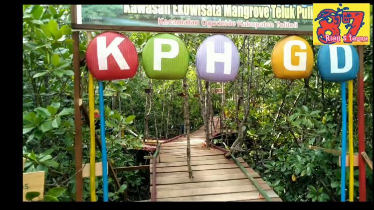 Ekowisata Mangrove Teluk Pulias via Youtube Rian S Taupa, 1. Sabang Tende, 2. Udang Merah Tanjung Sanjangan, 3. Air Terjun Sigelang, 4. Pekan Budaya dan Pariwisata di Tolitoli, 5. Tanjung Matop Tolitoli, 6. Pantai Bajungan Tolitoli, 7. Wisata Bahari Ratu Ampat, 8. Kampung Wisata Desa Malangga, 9. Berkunjung ke Pulau Kapas, 10. Ekowisata Mangrove Teluk Pulias, 11. Pantai Pijar, 12. Bukit Keles, 13. Goa Pamona, 14. Pulau Salando, 15. Pulau Lingayan, 16. Pantai Lalos, 17. Pantai Bajugan, 18. Air Terjun Malangga, 19. Pulau Lutungan