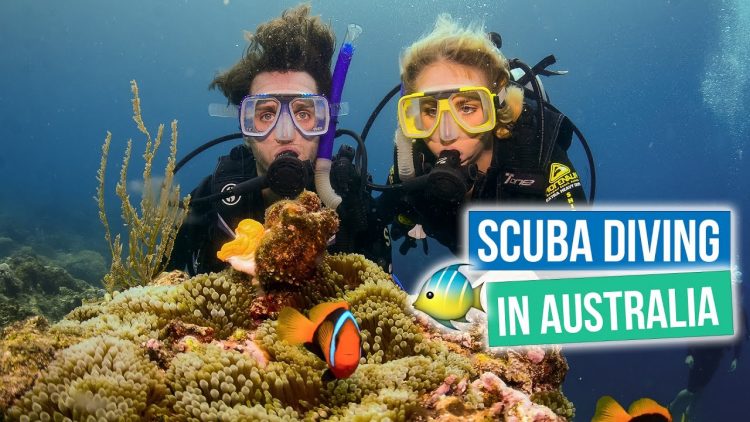 GREAT BARRIER REEF, AUSTRALIA via Youtube Flying The Nest