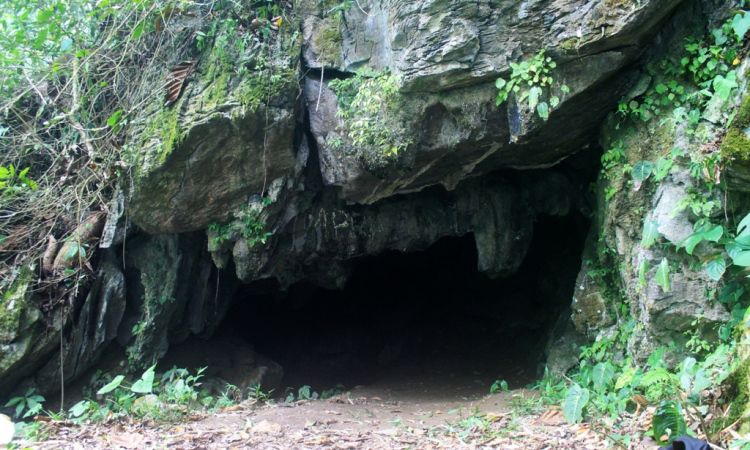 Goa Lawah, 1. Pantai Pasangkayu dan Pantai Tanjung Babia, 2. Air Terjun Barubu, 3. Tugu SMART, 4. Air Terjun Kaluku Nangka, 5. Goa Lawah, 6. Pantai Batu Oge, 7. Wisata Vovasanggayu, 8. Pantai Cinoki, 9. Masjid Al-Madaniah Pasangkayu