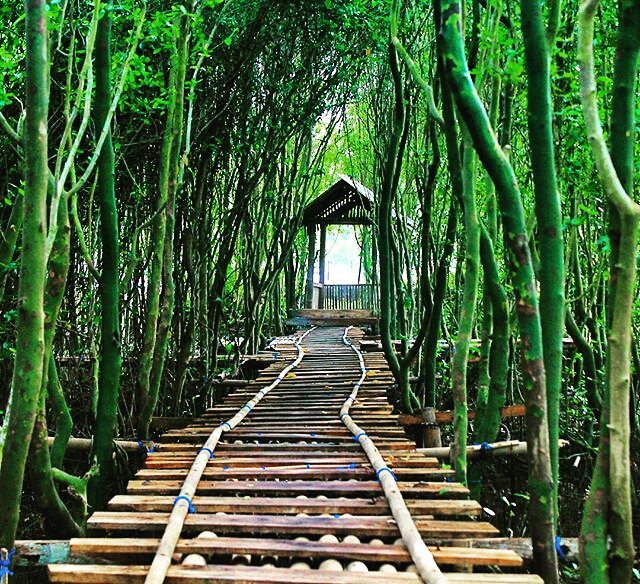 Hutan Mangrove yang Fantastic, 1. Tebing Breksi Jogja , 2. Puncak Becici Jogja , 3. Hutan Pinus Mangunan, 4. Blue Lagoon Jogja , 5. Waduk Sermo , 6. Wisata Alam Puncak Suroloyo , 7. Gua Jomblang, 8. Wisata Alam Kalibiru, Jogja , 9. Air Terjun Sri Gethuk , 10. Air Terjun Kedung Pedut , 11. Wisata ke Gumuk Pasir Parangkusumo Serasa di Luar Negeri, 12. Pantai Jogan yang Memukau Mata, 13. Menyusuri Kalisuci Cave Tubing, 14. Pemandian Tirta Budi yang Alami, 15. Indahnya Grojogan Lepo Dlingo, 16. Hutan Mangrove yang Fantastic, 17. Pantai Wedi Ombo, 18. Bukit Panguk, 19. Embung Nglanggeran, 20. Bukit Isis, 21. Air Terjun Kedung Kandang, 22. Gumuk Pasir Parangkusumo, 23. Telaga Biru Semin, 24. Bukit Kosakora Gunung kidul, 25. Pantai Ngetun Gunung kidul, 26. Pantai Kayu Arum, 27. Green Village Gedangsari, 28. Gunung Api Purba Nglanggeran, 29. Pantai Watu Kodok Gunung kidul, 30. Pantai Jungwok Gunung kidul, 31. Hutan Wanagama Gunung kidul, 32. Pantai Sarangan Gunung kidul, 33. Bukit Sarangan Gunung kidul, 34. Embung Batara Sriten Gunung Kidul, 35. Pantai Wediombo Gunungkidul, 36. Air Terjun Luweng Sampang, 37. Pantai Sadeng Gunung kidul, 38. Pantai Ngrenehan Gunung kidul, 39. Pantai Slili, 40. Pantai Pok Tunggal Gunung Kidul, 41. Gunung Ireng Yogyakarta, 42. Pantai Watu Lawang, 43. Pantai Ngobaran Gunung Kidul, 44. Baron Technopark Gunung Kidul, 45. Pantai Kukup Gunung Kidul, 46. Mercusuar Pantai Baron Gunung Kidul, 47. Pantai Wohkudu Gunung Kidul, 48. Goa Rancang Kencono Gunungkidul