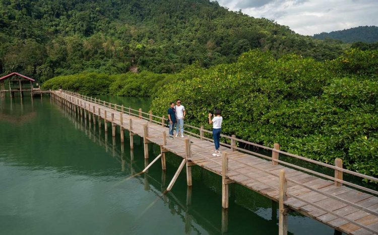 Hutan Mangrove Koya Foto Okezone, 1. Air Terjun Menduru, 2. Permandian Panapa, 3. Danau Lowo, 4. Muara Bajoe, 5. Danau Tiu, 6. Goa Tamanoa Wawopada, 7. Istana Raja Mori, 8. Batu Payung, 9. Teluk Tomori, 10. Bukit Teletubies, 11. Pulau Togonteo, 12. Pantai Ungkea, 13. Air Terjun Boba, 14. Air Terjun Wera Blanga, 15. Hutan Pinus Tepotowoa, 16. Pulau Gurita, 17. Hutan Mangrove Koya, 18. Air Terjun Mataruttung, 19. Pemandian Lemboroma, 20. Pemandian Korowalelo, 21. Tompa Ofoi, 22. Pantai Jompi, 23. Pulau Rumbia, 24. Pulau Pengia