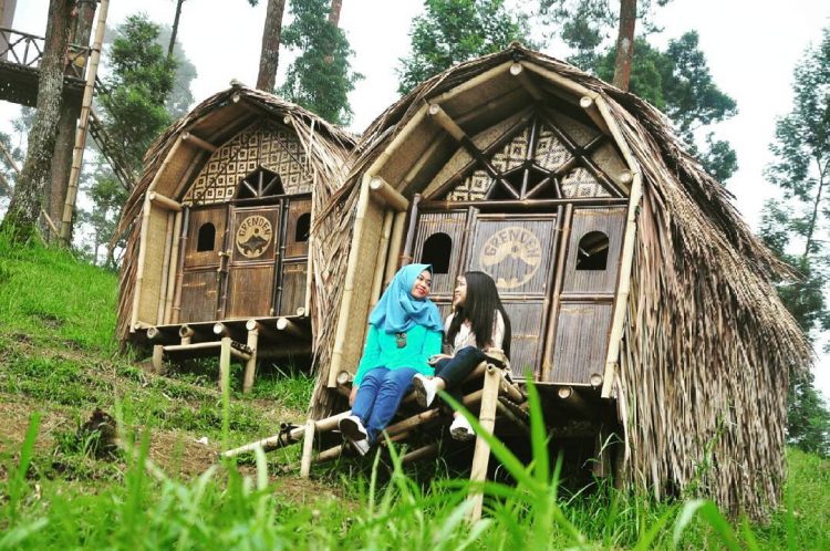 Hutan Pinus Grenden, 1. Candi Borobudur, 2. Rafting di Sungai Progo Atas, 3. Alun-alun Kota Magelang, 4. Air Terjun Kedung Kayang, 5. Taman Kyai Langgeng, 6. Ketep Pass, 7. Air Terjun Sekar Langit, 8. Rumah Kamera, 9. Candi Mendut, 10. Candi Pawon, 11. Gunung Andong, 12. Candi Selogriyo, 13. Gunung Tidar, 14. Curug Grenjengan Kembar, 15. Punthuk Setumbu, 16. Trekking Gunung Merbabu, 17. Curug Silawe, 18. Pemandian Air Hangat Candi Umbul, 19. Taman Badaan, 20. Museum Sudirman, 21. Pinusan Kragilan Magelang, 22. Candi Canggal, 23. Candi Ngawen, 24. Candi Lumbung, 25. Pemandian Kali Bening, 26. Air Terjun Kedung Kayangan, 27. Gardu Pandang Babadan, 28. Arung Jeram Kali Elo, 29. Telaga Bleder, 30. Gardu Pandang Bukit Barede, 31. Gardu Pandang Dlimas, 32. Gardu Pandang Mangli, 33. Sukmojoyo Hill, 34. Hutan Pinus Grenden, 35. Gereja Ayam di Dusun Gombong, 36. Punthuk Setumbu, 37. Kedung Sembrani, 38. Gunung Telomoyo, 39. Silancur Highland, 40. Bukit Grenden, 41. Curug Sigetik, 42. Puntuk Mangir Gunung Payung, 43. Bukit Rhema, 44. Hutan Pinus Wisata Mangli, 45. Jurang Jero, 46. OHD Museum, 47. Gunung Giyanti, 48. Curug Watu Ploso, 49. Klenteng Liong Hok Bio, 50. Curug Gleyor, 51. Punthuk Mongkrong, 52. Bukit Sleker, 53. Curug Lawang Kori, 54. Bukit kertojoyo, 55. Taman Ramadanu, 56. Puncak Seoloyo, 57. Taman Wisata Kopeng, 58. Bukit Gancik Selo Boyolali, 59. Gunung Sumbing, 60. Punthuk Kendil, 61. Bukit Harapan Cuntel, 62. Kebun Durian Candimulyo, 63. Jembatan Gantung Mangunsuko, 64. Air Terjun Goa Slandak, 65. Air Terjun Sumuran, 67. Museum Kapal Samudraraksa, 68. Karesidenan Kedu, 69. New Selo, 70. Taman Dewari, 71. Desa Wisata Candirejo, 72. Svargabumi Borobudur, 73. Awang-awang Telomoyo, 74. Ladon Little Island, 75. Candi Retno, 76. Wisata Petik Salak Gapoktan Ngudi Luhur, 77. Pesona Cempurung, 78. Gardu Pandang Cepogo, 79. Taman Garempong Bringin Kulon, 80. Sendang Mudal, 81. Curug Dlimas, 82. Museum Diponegoro, 83. Curug Sikencling, 84. Sendang Maren, 85. Citraelo Rafting, 86. Desa Wisata Ngawen, 87. Wisata Kulon Ndeso, 88. Taman Bunga Matahari, 89. Taman Hanya Untukmu, 90. Junkyard Autopark & Cafe, 91. Balkondes Ngadiharjo, 92. Banyuroto, 93. Bukit Dagi, 94. Jembatan Gantung Srowol, 95. Candi Asu, 96. Persawahan Permitan, 97. Bakorwil II Magelang, 98. Kebun Bibit Senopati