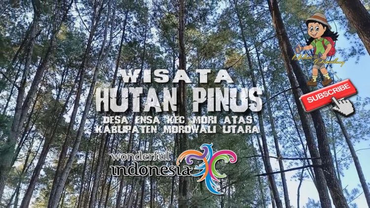 Hutan Pinus Tepotowoa via Youtube, 1. Air Terjun Menduru, 2. Permandian Panapa, 3. Danau Lowo, 4. Muara Bajoe, 5. Danau Tiu, 6. Goa Tamanoa Wawopada, 7. Istana Raja Mori, 8. Batu Payung, 9. Teluk Tomori, 10. Bukit Teletubies, 11. Pulau Togonteo, 12. Pantai Ungkea, 13. Air Terjun Boba, 14. Air Terjun Wera Blanga, 15. Hutan Pinus Tepotowoa, 16. Pulau Gurita, 17. Hutan Mangrove Koya, 18. Air Terjun Mataruttung, 19. Pemandian Lemboroma, 20. Pemandian Korowalelo, 21. Tompa Ofoi, 22. Pantai Jompi, 23. Pulau Rumbia, 24. Pulau Pengia