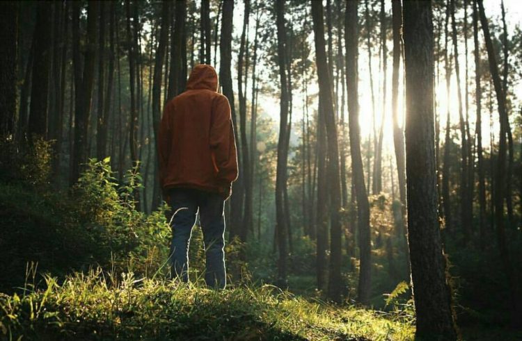 Hutan Pinus Wisata Mangli via Instagram.com @agungwicak7, 1. Candi Borobudur, 2. Rafting di Sungai Progo Atas, 3. Alun-alun Kota Magelang, 4. Air Terjun Kedung Kayang, 5. Taman Kyai Langgeng, 6. Ketep Pass, 7. Air Terjun Sekar Langit, 8. Rumah Kamera, 9. Candi Mendut, 10. Candi Pawon, 11. Gunung Andong, 12. Candi Selogriyo, 13. Gunung Tidar, 14. Curug Grenjengan Kembar, 15. Punthuk Setumbu, 16. Trekking Gunung Merbabu, 17. Curug Silawe, 18. Pemandian Air Hangat Candi Umbul, 19. Taman Badaan, 20. Museum Sudirman, 21. Pinusan Kragilan Magelang, 22. Candi Canggal, 23. Candi Ngawen, 24. Candi Lumbung, 25. Pemandian Kali Bening, 26. Air Terjun Kedung Kayangan, 27. Gardu Pandang Babadan, 28. Arung Jeram Kali Elo, 29. Telaga Bleder, 30. Gardu Pandang Bukit Barede, 31. Gardu Pandang Dlimas, 32. Gardu Pandang Mangli, 33. Sukmojoyo Hill, 34. Hutan Pinus Grenden, 35. Gereja Ayam di Dusun Gombong, 36. Punthuk Setumbu, 37. Kedung Sembrani, 38. Gunung Telomoyo, 39. Silancur Highland, 40. Bukit Grenden, 41. Curug Sigetik, 42. Puntuk Mangir Gunung Payung, 43. Bukit Rhema, 44. Hutan Pinus Wisata Mangli, 45. Jurang Jero, 46. OHD Museum, 47. Gunung Giyanti, 48. Curug Watu Ploso, 49. Klenteng Liong Hok Bio, 50. Curug Gleyor, 51. Punthuk Mongkrong, 52. Bukit Sleker, 53. Curug Lawang Kori, 54. Bukit kertojoyo, 55. Taman Ramadanu, 56. Puncak Seoloyo, 57. Taman Wisata Kopeng, 58. Bukit Gancik Selo Boyolali, 59. Gunung Sumbing, 60. Punthuk Kendil, 61. Bukit Harapan Cuntel, 62. Kebun Durian Candimulyo, 63. Jembatan Gantung Mangunsuko, 64. Air Terjun Goa Slandak, 65. Air Terjun Sumuran, 67. Museum Kapal Samudraraksa, 68. Karesidenan Kedu, 69. New Selo, 70. Taman Dewari, 71. Desa Wisata Candirejo, 72. Svargabumi Borobudur, 73. Awang-awang Telomoyo, 74. Ladon Little Island, 75. Candi Retno, 76. Wisata Petik Salak Gapoktan Ngudi Luhur, 77. Pesona Cempurung, 78. Gardu Pandang Cepogo, 79. Taman Garempong Bringin Kulon, 80. Sendang Mudal, 81. Curug Dlimas, 82. Museum Diponegoro, 83. Curug Sikencling, 84. Sendang Maren, 85. Citraelo Rafting, 86. Desa Wisata Ngawen, 87. Wisata Kulon Ndeso, 88. Taman Bunga Matahari, 89. Taman Hanya Untukmu, 90. Junkyard Autopark & Cafe, 91. Balkondes Ngadiharjo, 92. Banyuroto, 93. Bukit Dagi, 94. Jembatan Gantung Srowol, 95. Candi Asu, 96. Persawahan Permitan, 97. Bakorwil II Magelang, 98. Kebun Bibit Senopati