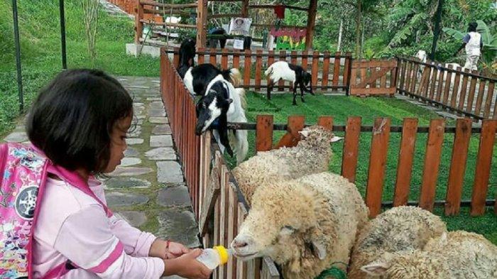 Jogja Exotarium via Tribunnews, 1. Candi Prambanan, 2. Candi Ratu Boko, 3. Candi Kalasan, 4. Candi Ijo, 5. Candi Sari, 6. Desa Wisata Kaliurang, 7. Sendratari Ramayana, 8. Objek Wisata Monumen Jogja Kembali (Monjali), 9. Museum Affandi, 10. Objek Wisata Kali Kuning, 11. Museum Gunung Merapi, 12. Museum Ullen Sentalu, 13. Kinahrejo, 14. Goa Jepang, 15. Blue Lagoon Jogja, 16. Jogja Bay Waterpark, 17. Kampung Teletubbies, 18. Batu Alien Cangkringan, 19. Stonehenge Cangkringan, 20. Bukit Klangon Merapi, 21. Tebing Breksi, 22. Trans Studio Mini Jogja, 23. Tlogo Putri Kaliurang, 24. Lava Tour Merapi, 25. Lava Bantal, 26. Omah Salak Sleman, 27. Upside Down World, 28. Taman Pelangi, 29. Green Kayen, 30. Sindu Kusuma Edupark, 31. Tlogo Muncar Kaliurang, 32. Candi Banyunibo, 33. Candi Sambisari, 34. The World Landmarks Merapi Park, 35. Spot Riyadi, 36. Kids Fun Park, 37. Taman Gardu Pandang Kaliurang, 38. Agrowisata Bhumi Merapi, 39. Candi Abang, 40. Museum Mini Sisa Hartaku, 41. Candi Barong, 42. Candi Kimpulan, 43. The Lost World Castle, 44. Bunker Kaliadem Merapi, 45. Embung Tambakboyo, 46. Obelix Hills, 47. Grojogan Watu Purbo, 48. Plunyon Kalikuning, 49. Bukit Turgo, 50. Teras Merapi, 51. Omah Petroek, 52. Sabo Bronggang, 53. Watu Tapak, 54. Studio Alam Gamplong, 55. Kampung Flory, 56. Ledok Sambi, 57. Puri Mataram, 58. Jogja Exotarium, 59. Taman Lampion Kaliurang, 60. Desa Wisata Gabugan, 61. Agrowisata Salak Pondoh Bangunkerto, 62. Desa Wisata Pentingsari, 63. Desa Wisata Kembang Arum, 64. Desa Wisata Kelor, 65. Desa Wisata Pulesari, 66. Kampung Mina Padi Samberembe, 67. Alamanda Jogja Flowers Garden
