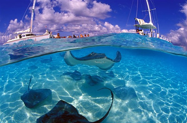 KEPULAUAN CAYMAN via Detik