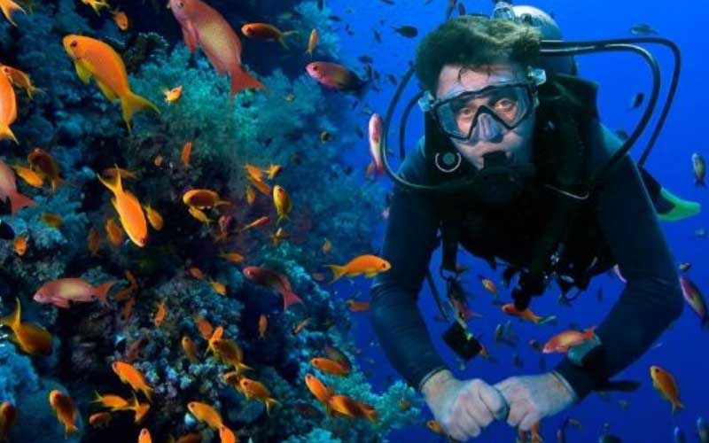 KEPULAUAN GALAPAGOS via Phiradio