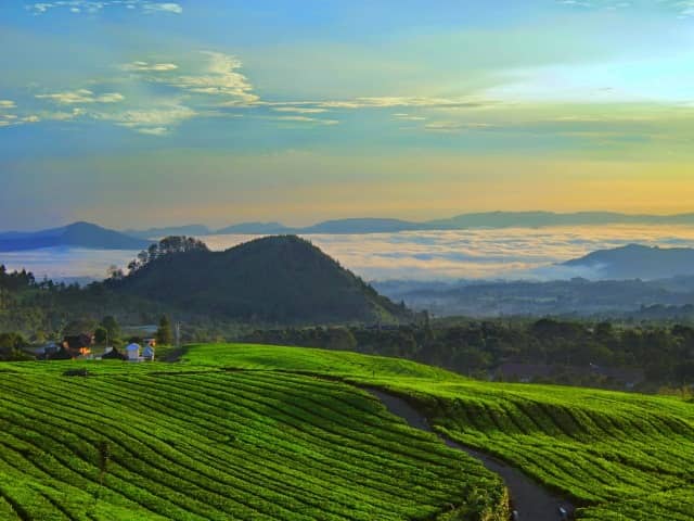 Tempat Wisata di Ciater, 1. Objek Wisata Air Panas Ciater, 2. Ciater Highland Resort, 3. Pantai Cirewang, Legon Kulon, 4. Curug Cibareubeuy, 5. Gedung Wisma Karya, 6. Kolam Renang Ciheuleut, 7. Curug Cijalu, 8. Museum Teh, 9. Curug Cileat, 10. Penangkaran Buaya Blanakan, 11. Pantai Kelapa Patimban, 12. Sari Ater Spa Spring Resort, 13. Lembah Gunung Kujang, 14. Rumah Sejarah, 15. Gunung Tangkuban Perahu, 16. Ciater Spa Resort, 17. Curug Ciangin, 18. Curug Cina, 19. Curug Bentang, 20. Kebun Teh Ciater