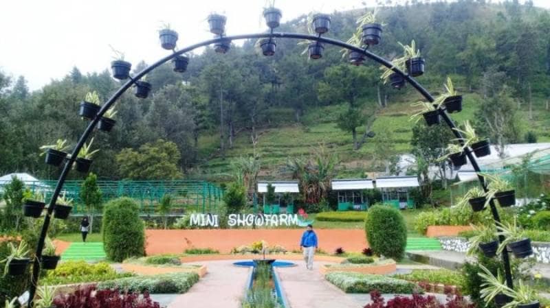 Mini Showfarm Bantaeng via Tribunnews, 1. Pantai Seruni, 2. Pantai Marina, 3. Bukit Rumbia, 4. Gunung Daulu, 5. Agrowisata Loka, 6. Air Terjun Bissappu, 7. Air Terjun Eremerasa, 8. Air Terjun Mattep, 9. Air Terjun Bossola, 10. Air Terjun Simoko, 11. Agrowisata Uluere, 12. Air Terjun Cekala, 13. Mini Showfarm Bantaeng, 14. Bukit Muntea, 15. Jembatan Bonto Salluang, 16. Balla Lompoa Bantaeng, 17. Air Terjun Baruttung, 18. Puncak Gunung Loka, 19. Pemandian Borong Lompoa, 20. Wisata Latar Hijau, 21. Air Terjun Bialo, 22. Wisata Hutan Pinus Rombeng
