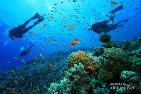 PULAU GILI via Detik