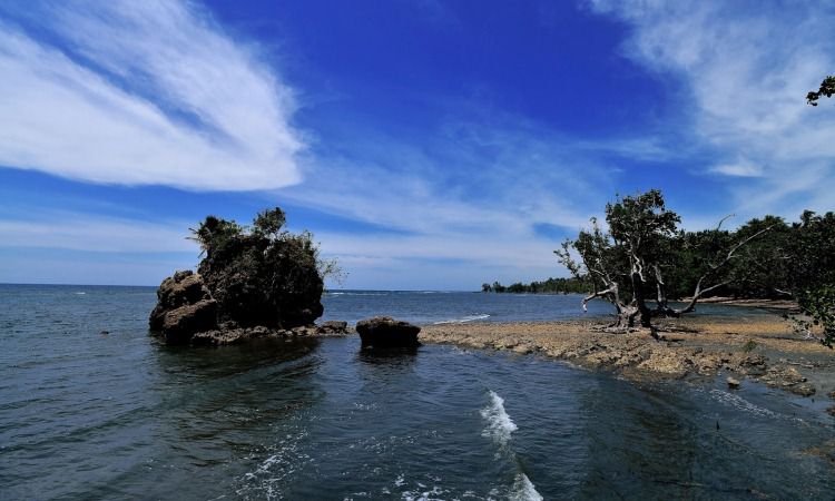 Pantai Batu Oge via Promoliburan, 1. Pantai Pasangkayu dan Pantai Tanjung Babia, 2. Air Terjun Barubu, 3. Tugu SMART, 4. Air Terjun Kaluku Nangka, 5. Goa Lawah, 6. Pantai Batu Oge, 7. Wisata Vovasanggayu, 8. Pantai Cinoki, 9. Masjid Al-Madaniah Pasangkayu