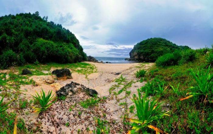 Pantai Kayu Arum, 1. Tebing Breksi Jogja , 2. Puncak Becici Jogja , 3. Hutan Pinus Mangunan, 4. Blue Lagoon Jogja , 5. Waduk Sermo , 6. Wisata Alam Puncak Suroloyo , 7. Gua Jomblang, 8. Wisata Alam Kalibiru, Jogja , 9. Air Terjun Sri Gethuk , 10. Air Terjun Kedung Pedut , 11. Wisata ke Gumuk Pasir Parangkusumo Serasa di Luar Negeri, 12. Pantai Jogan yang Memukau Mata, 13. Menyusuri Kalisuci Cave Tubing, 14. Pemandian Tirta Budi yang Alami, 15. Indahnya Grojogan Lepo Dlingo, 16. Hutan Mangrove yang Fantastic, 17. Pantai Wedi Ombo, 18. Bukit Panguk, 19. Embung Nglanggeran, 20. Bukit Isis, 21. Air Terjun Kedung Kandang, 22. Gumuk Pasir Parangkusumo, 23. Telaga Biru Semin, 24. Bukit Kosakora Gunung kidul, 25. Pantai Ngetun Gunung kidul, 26. Pantai Kayu Arum, 27. Green Village Gedangsari, 28. Gunung Api Purba Nglanggeran, 29. Pantai Watu Kodok Gunung kidul, 30. Pantai Jungwok Gunung kidul, 31. Hutan Wanagama Gunung kidul, 32. Pantai Sarangan Gunung kidul, 33. Bukit Sarangan Gunung kidul, 34. Embung Batara Sriten Gunung Kidul, 35. Pantai Wediombo Gunungkidul, 36. Air Terjun Luweng Sampang, 37. Pantai Sadeng Gunung kidul, 38. Pantai Ngrenehan Gunung kidul, 39. Pantai Slili, 40. Pantai Pok Tunggal Gunung Kidul, 41. Gunung Ireng Yogyakarta, 42. Pantai Watu Lawang, 43. Pantai Ngobaran Gunung Kidul, 44. Baron Technopark Gunung Kidul, 45. Pantai Kukup Gunung Kidul, 46. Mercusuar Pantai Baron Gunung Kidul, 47. Pantai Wohkudu Gunung Kidul, 48. Goa Rancang Kencono Gunungkidul