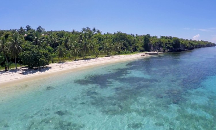 Pantai Palippis, 1. Pantai Lombang-lombang, 2. Pulau Karampuang, 3. Wisata Mangrove Bebanga, 4. Pantai Manakarra, 5. Pantai Tapandullu, 6. Air Terjun Tammasapi, 7. Taman Wisata Bukit Jati Gentungan, 8. Pantai Ujung Bulo, 9. Tanjung Ngalo, 10. Air Terjun Malute, 11. Pantai Palippis, 12. Wisata Kelapa Tujuh, 13. Wisata Panorama Mamuju, 14. Air Terjun Tamasapi, 15. Air Terjun Kalando, 16. Pantai Dato, 17. Pantai Rangas, 18. Wisata Pantai Galung, 19. Tanjung Losa, 20. Puncak Mamuju City, 21. Wisata Pantai Mangrove Ampallas, 22. Kampung Nelayan, 23. Bundaran Air Mancur Arteri, 24. Masjid Raya Syuhada