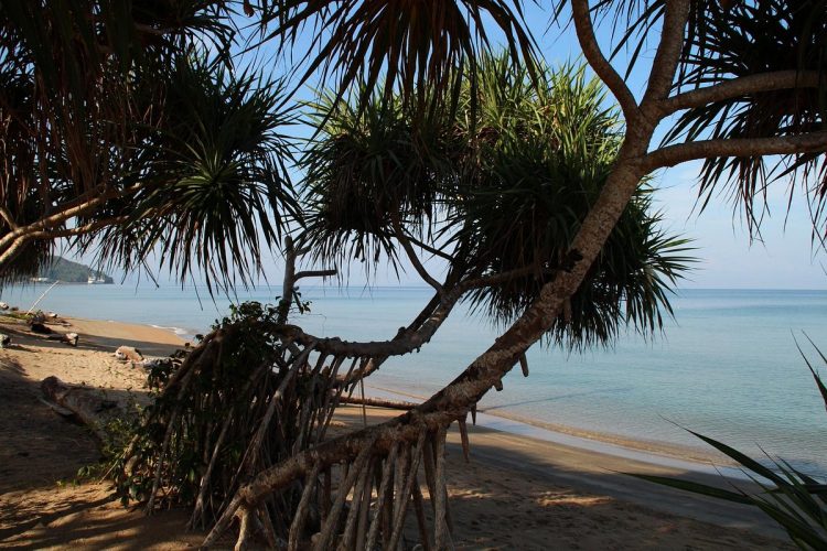 Pantai Pijar via Tripadvisor, 1. Sabang Tende, 2. Udang Merah Tanjung Sanjangan, 3. Air Terjun Sigelang, 4. Pekan Budaya dan Pariwisata di Tolitoli, 5. Tanjung Matop Tolitoli, 6. Pantai Bajungan Tolitoli, 7. Wisata Bahari Ratu Ampat, 8. Kampung Wisata Desa Malangga, 9. Berkunjung ke Pulau Kapas, 10. Ekowisata Mangrove Teluk Pulias, 11. Pantai Pijar, 12. Bukit Keles, 13. Goa Pamona, 14. Pulau Salando, 15. Pulau Lingayan, 16. Pantai Lalos, 17. Pantai Bajugan, 18. Air Terjun Malangga, 19. Pulau Lutungan