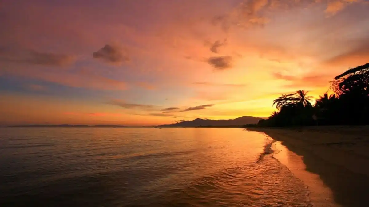 Pantai Tambu - Tempat Wisata di Donggala, 1. Masjid Arkam Babu Rahman, 2. Pantai Taipa, 3. Jembatan Ponulele, 4. Pantai Taman Ria, 5. Pantai Talise, 6. Danau Tambing, 7. Sumur Raksasa Alami Pusentasi, 8. Pantai Tanjung Karang Donggala, 9. Anjungan Kota Donggala, 10. Pantai Boneoge, 11. Air Terjun Loli Tasiburi, 12. Hutan Mangrove Donggala, 13. Danau Talaga, 14. Pulau Pasoso, 15. Pantai Kaluku, 16. Pantai Hayalan, 17. Pantai Labuana, 18. Pantai Sivalenta, 19. Pantai Bonebula, 20. Pantai Enu, 21. Pantai Bambarano, 22. Pantai Tambu