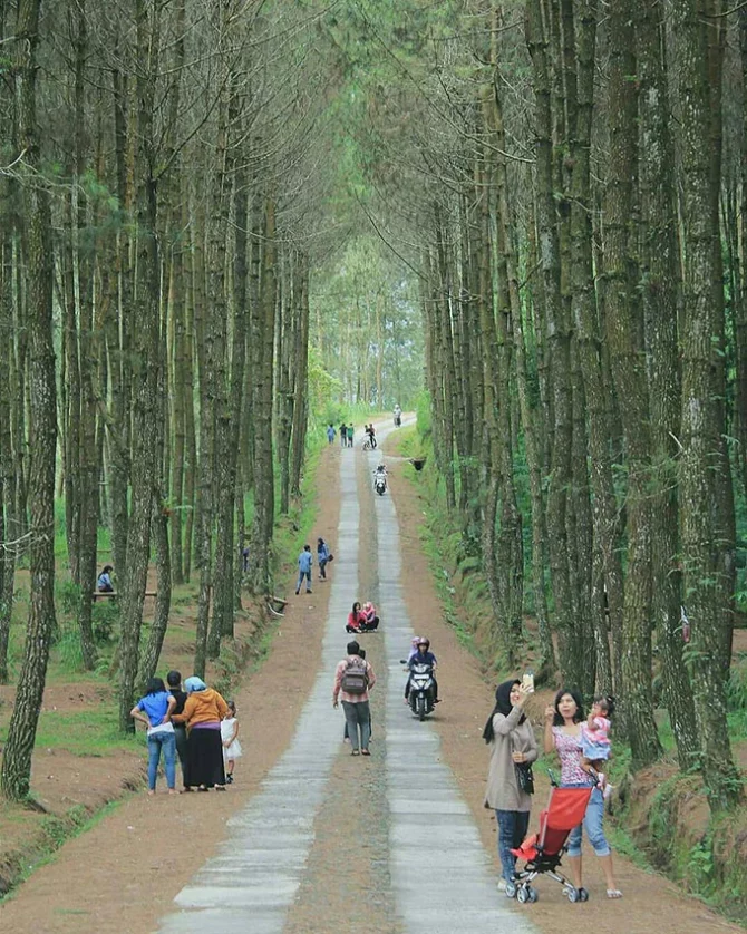 Pinusan Kragilan Magelang, 1. Candi Borobudur, 2. Rafting di Sungai Progo Atas, 3. Alun-alun Kota Magelang, 4. Air Terjun Kedung Kayang, 5. Taman Kyai Langgeng, 6. Ketep Pass, 7. Air Terjun Sekar Langit, 8. Rumah Kamera, 9. Candi Mendut, 10. Candi Pawon, 11. Gunung Andong, 12. Candi Selogriyo, 13. Gunung Tidar, 14. Curug Grenjengan Kembar, 15. Punthuk Setumbu, 16. Trekking Gunung Merbabu, 17. Curug Silawe, 18. Pemandian Air Hangat Candi Umbul, 19. Taman Badaan, 20. Museum Sudirman, 21. Pinusan Kragilan Magelang, 22. Candi Canggal, 23. Candi Ngawen, 24. Candi Lumbung, 25. Pemandian Kali Bening, 26. Air Terjun Kedung Kayangan, 27. Gardu Pandang Babadan, 28. Arung Jeram Kali Elo, 29. Telaga Bleder, 30. Gardu Pandang Bukit Barede, 31. Gardu Pandang Dlimas, 32. Gardu Pandang Mangli, 33. Sukmojoyo Hill, 34. Hutan Pinus Grenden, 35. Gereja Ayam di Dusun Gombong, 36. Punthuk Setumbu, 37. Kedung Sembrani, 38. Gunung Telomoyo, 39. Silancur Highland, 40. Bukit Grenden, 41. Curug Sigetik, 42. Puntuk Mangir Gunung Payung, 43. Bukit Rhema, 44. Hutan Pinus Wisata Mangli, 45. Jurang Jero, 46. OHD Museum, 47. Gunung Giyanti, 48. Curug Watu Ploso, 49. Klenteng Liong Hok Bio, 50. Curug Gleyor, 51. Punthuk Mongkrong, 52. Bukit Sleker, 53. Curug Lawang Kori, 54. Bukit kertojoyo, 55. Taman Ramadanu, 56. Puncak Seoloyo, 57. Taman Wisata Kopeng, 58. Bukit Gancik Selo Boyolali, 59. Gunung Sumbing, 60. Punthuk Kendil, 61. Bukit Harapan Cuntel, 62. Kebun Durian Candimulyo, 63. Jembatan Gantung Mangunsuko, 64. Air Terjun Goa Slandak, 65. Air Terjun Sumuran, 67. Museum Kapal Samudraraksa, 68. Karesidenan Kedu, 69. New Selo, 70. Taman Dewari, 71. Desa Wisata Candirejo, 72. Svargabumi Borobudur, 73. Awang-awang Telomoyo, 74. Ladon Little Island, 75. Candi Retno, 76. Wisata Petik Salak Gapoktan Ngudi Luhur, 77. Pesona Cempurung, 78. Gardu Pandang Cepogo, 79. Taman Garempong Bringin Kulon, 80. Sendang Mudal, 81. Curug Dlimas, 82. Museum Diponegoro, 83. Curug Sikencling, 84. Sendang Maren, 85. Citraelo Rafting, 86. Desa Wisata Ngawen, 87. Wisata Kulon Ndeso, 88. Taman Bunga Matahari, 89. Taman Hanya Untukmu, 90. Junkyard Autopark & Cafe, 91. Balkondes Ngadiharjo, 92. Banyuroto, 93. Bukit Dagi, 94. Jembatan Gantung Srowol, 95. Candi Asu, 96. Persawahan Permitan, 97. Bakorwil II Magelang, 98. Kebun Bibit Senopati