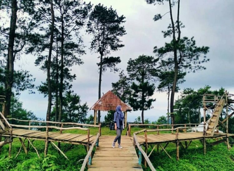 Puntuk Mangir Gunung Payung via Instagram.com @annelydiasusant, 1. Candi Borobudur, 2. Rafting di Sungai Progo Atas, 3. Alun-alun Kota Magelang, 4. Air Terjun Kedung Kayang, 5. Taman Kyai Langgeng, 6. Ketep Pass, 7. Air Terjun Sekar Langit, 8. Rumah Kamera, 9. Candi Mendut, 10. Candi Pawon, 11. Gunung Andong, 12. Candi Selogriyo, 13. Gunung Tidar, 14. Curug Grenjengan Kembar, 15. Punthuk Setumbu, 16. Trekking Gunung Merbabu, 17. Curug Silawe, 18. Pemandian Air Hangat Candi Umbul, 19. Taman Badaan, 20. Museum Sudirman, 21. Pinusan Kragilan Magelang, 22. Candi Canggal, 23. Candi Ngawen, 24. Candi Lumbung, 25. Pemandian Kali Bening, 26. Air Terjun Kedung Kayangan, 27. Gardu Pandang Babadan, 28. Arung Jeram Kali Elo, 29. Telaga Bleder, 30. Gardu Pandang Bukit Barede, 31. Gardu Pandang Dlimas, 32. Gardu Pandang Mangli, 33. Sukmojoyo Hill, 34. Hutan Pinus Grenden, 35. Gereja Ayam di Dusun Gombong, 36. Punthuk Setumbu, 37. Kedung Sembrani, 38. Gunung Telomoyo, 39. Silancur Highland, 40. Bukit Grenden, 41. Curug Sigetik, 42. Puntuk Mangir Gunung Payung, 43. Bukit Rhema, 44. Hutan Pinus Wisata Mangli, 45. Jurang Jero, 46. OHD Museum, 47. Gunung Giyanti, 48. Curug Watu Ploso, 49. Klenteng Liong Hok Bio, 50. Curug Gleyor, 51. Punthuk Mongkrong, 52. Bukit Sleker, 53. Curug Lawang Kori, 54. Bukit kertojoyo, 55. Taman Ramadanu, 56. Puncak Seoloyo, 57. Taman Wisata Kopeng, 58. Bukit Gancik Selo Boyolali, 59. Gunung Sumbing, 60. Punthuk Kendil, 61. Bukit Harapan Cuntel, 62. Kebun Durian Candimulyo, 63. Jembatan Gantung Mangunsuko, 64. Air Terjun Goa Slandak, 65. Air Terjun Sumuran, 67. Museum Kapal Samudraraksa, 68. Karesidenan Kedu, 69. New Selo, 70. Taman Dewari, 71. Desa Wisata Candirejo, 72. Svargabumi Borobudur, 73. Awang-awang Telomoyo, 74. Ladon Little Island, 75. Candi Retno, 76. Wisata Petik Salak Gapoktan Ngudi Luhur, 77. Pesona Cempurung, 78. Gardu Pandang Cepogo, 79. Taman Garempong Bringin Kulon, 80. Sendang Mudal, 81. Curug Dlimas, 82. Museum Diponegoro, 83. Curug Sikencling, 84. Sendang Maren, 85. Citraelo Rafting, 86. Desa Wisata Ngawen, 87. Wisata Kulon Ndeso, 88. Taman Bunga Matahari, 89. Taman Hanya Untukmu, 90. Junkyard Autopark & Cafe, 91. Balkondes Ngadiharjo, 92. Banyuroto, 93. Bukit Dagi, 94. Jembatan Gantung Srowol, 95. Candi Asu, 96. Persawahan Permitan, 97. Bakorwil II Magelang, 98. Kebun Bibit Senopati