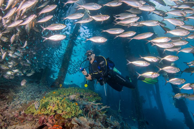 RAJA AMPAT via Befreetours