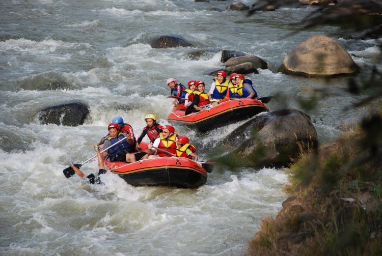 Rafting di Sungai Progo Atas vi Arung Jeram Mageng Net, 1. Candi Borobudur, 2. Rafting di Sungai Progo Atas, 3. Alun-alun Kota Magelang, 4. Air Terjun Kedung Kayang, 5. Taman Kyai Langgeng, 6. Ketep Pass, 7. Air Terjun Sekar Langit, 8. Rumah Kamera, 9. Candi Mendut, 10. Candi Pawon, 11. Gunung Andong, 12. Candi Selogriyo, 13. Gunung Tidar, 14. Curug Grenjengan Kembar, 15. Punthuk Setumbu, 16. Trekking Gunung Merbabu, 17. Curug Silawe, 18. Pemandian Air Hangat Candi Umbul, 19. Taman Badaan, 20. Museum Sudirman, 21. Pinusan Kragilan Magelang, 22. Candi Canggal, 23. Candi Ngawen, 24. Candi Lumbung, 25. Pemandian Kali Bening, 26. Air Terjun Kedung Kayangan, 27. Gardu Pandang Babadan, 28. Arung Jeram Kali Elo, 29. Telaga Bleder, 30. Gardu Pandang Bukit Barede, 31. Gardu Pandang Dlimas, 32. Gardu Pandang Mangli, 33. Sukmojoyo Hill, 34. Hutan Pinus Grenden, 35. Gereja Ayam di Dusun Gombong, 36. Punthuk Setumbu, 37. Kedung Sembrani, 38. Gunung Telomoyo, 39. Silancur Highland, 40. Bukit Grenden, 41. Curug Sigetik, 42. Puntuk Mangir Gunung Payung, 43. Bukit Rhema, 44. Hutan Pinus Wisata Mangli, 45. Jurang Jero, 46. OHD Museum, 47. Gunung Giyanti, 48. Curug Watu Ploso, 49. Klenteng Liong Hok Bio, 50. Curug Gleyor, 51. Punthuk Mongkrong, 52. Bukit Sleker, 53. Curug Lawang Kori, 54. Bukit kertojoyo, 55. Taman Ramadanu, 56. Puncak Seoloyo, 57. Taman Wisata Kopeng, 58. Bukit Gancik Selo Boyolali, 59. Gunung Sumbing, 60. Punthuk Kendil, 61. Bukit Harapan Cuntel, 62. Kebun Durian Candimulyo, 63. Jembatan Gantung Mangunsuko, 64. Air Terjun Goa Slandak, 65. Air Terjun Sumuran, 67. Museum Kapal Samudraraksa, 68. Karesidenan Kedu, 69. New Selo, 70. Taman Dewari, 71. Desa Wisata Candirejo, 72. Svargabumi Borobudur, 73. Awang-awang Telomoyo, 74. Ladon Little Island, 75. Candi Retno, 76. Wisata Petik Salak Gapoktan Ngudi Luhur, 77. Pesona Cempurung, 78. Gardu Pandang Cepogo, 79. Taman Garempong Bringin Kulon, 80. Sendang Mudal, 81. Curug Dlimas, 82. Museum Diponegoro, 83. Curug Sikencling, 84. Sendang Maren, 85. Citraelo Rafting, 86. Desa Wisata Ngawen, 87. Wisata Kulon Ndeso, 88. Taman Bunga Matahari, 89. Taman Hanya Untukmu, 90. Junkyard Autopark & Cafe, 91. Balkondes Ngadiharjo, 92. Banyuroto, 93. Bukit Dagi, 94. Jembatan Gantung Srowol, 95. Candi Asu, 96. Persawahan Permitan, 97. Bakorwil II Magelang, 98. Kebun Bibit Senopati