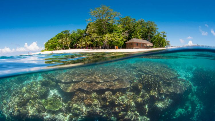 SIPADAN via Zubludiving