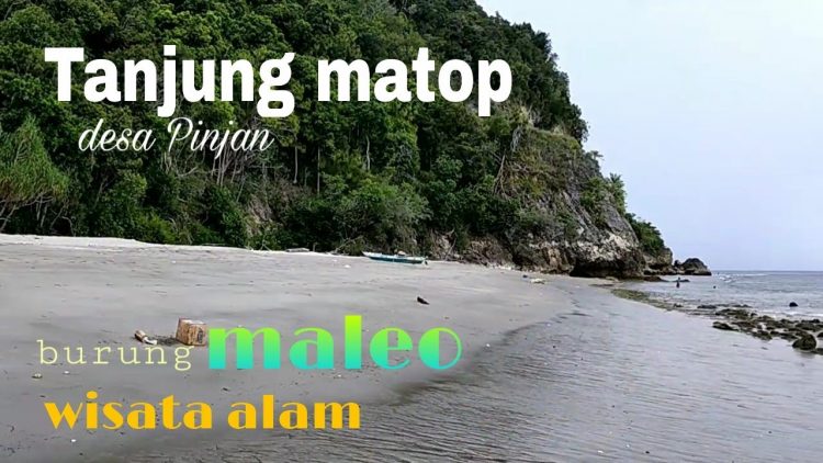 Tanjung Matop Tolitoli, 1. Sabang Tende, 2. Udang Merah Tanjung Sanjangan, 3. Air Terjun Sigelang, 4. Pekan Budaya dan Pariwisata di Tolitoli, 5. Tanjung Matop Tolitoli, 6. Pantai Bajungan Tolitoli, 7. Wisata Bahari Ratu Ampat, 8. Kampung Wisata Desa Malangga, 9. Berkunjung ke Pulau Kapas, 10. Ekowisata Mangrove Teluk Pulias, 11. Pantai Pijar, 12. Bukit Keles, 13. Goa Pamona, 14. Pulau Salando, 15. Pulau Lingayan, 16. Pantai Lalos, 17. Pantai Bajugan, 18. Air Terjun Malangga, 19. Pulau Lutungan