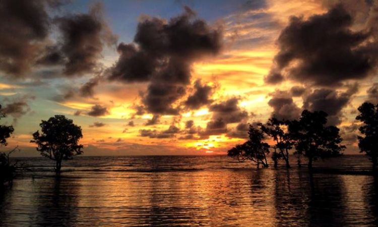 Tanjung Losa via Kompasdansamandar.blogspotcom, 1. Pantai Lombang-lombang, 2. Pulau Karampuang, 3. Wisata Mangrove Bebanga, 4. Pantai Manakarra, 5. Pantai Tapandullu, 6. Air Terjun Tammasapi, 7. Taman Wisata Bukit Jati Gentungan, 8. Pantai Ujung Bulo, 9. Tanjung Ngalo, 10. Air Terjun Malute, 11. Pantai Palippis, 12. Wisata Kelapa Tujuh, 13. Wisata Panorama Mamuju, 14. Air Terjun Tamasapi, 15. Air Terjun Kalando, 16. Pantai Dato, 17. Pantai Rangas, 18. Wisata Pantai Galung, 19. Tanjung Losa, 20. Puncak Mamuju City, 21. Wisata Pantai Mangrove Ampallas, 22. Kampung Nelayan, 23. Bundaran Air Mancur Arteri, 24. Masjid Raya Syuhada