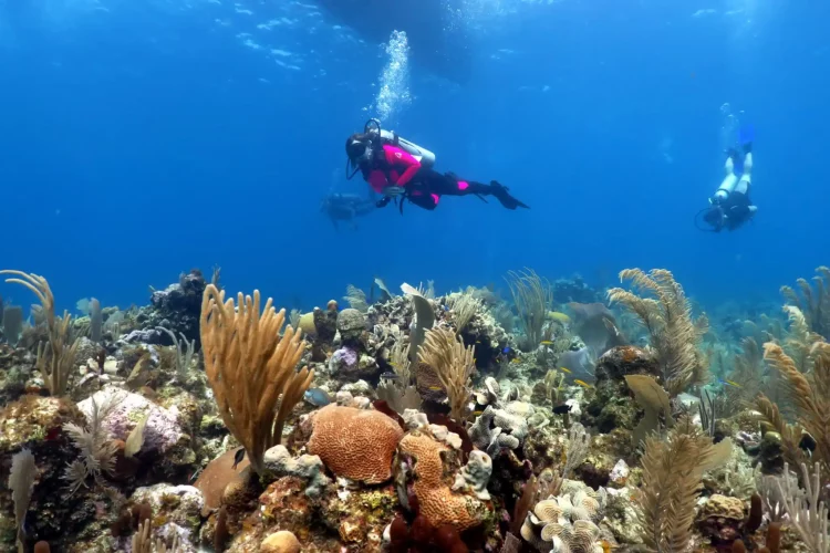 UTILA via Wordladventuredrivers