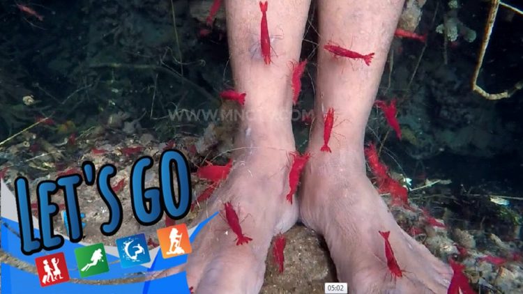 Udang Merah Tanjung Sanjangan Tolitoli via Youtube News MNCTV, 1. Sabang Tende, 2. Udang Merah Tanjung Sanjangan, 3. Air Terjun Sigelang, 4. Pekan Budaya dan Pariwisata di Tolitoli, 5. Tanjung Matop Tolitoli, 6. Pantai Bajungan Tolitoli, 7. Wisata Bahari Ratu Ampat, 8. Kampung Wisata Desa Malangga, 9. Berkunjung ke Pulau Kapas, 10. Ekowisata Mangrove Teluk Pulias, 11. Pantai Pijar, 12. Bukit Keles, 13. Goa Pamona, 14. Pulau Salando, 15. Pulau Lingayan, 16. Pantai Lalos, 17. Pantai Bajugan, 18. Air Terjun Malangga, 19. Pulau Lutungan