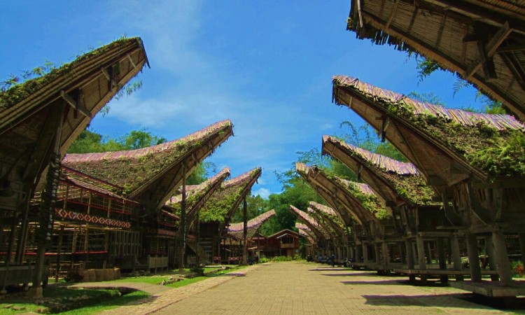 Wisata Kete Kesu, 1. Wisata Londa, 2. Wisata Kete Kesu, 3. Musem Ne’ Gandeng, 4. Batu Tumongo, 5. Kompleks Megalit Kalimbuang Bori, 6. Wisata Ranteallo, 7. Agrowisata Pango-Pango, 8. Patung Yesus Buntu Burake, 9. Tongkonan Pallawa, 10. Danau Limbong, 11. Gumuk Pasir Sumalu, 12. Objek Wisata Palawa, 13. Air Terjun Talondo Tallu, 14. Wisata Ollon, 15. Mata Air Tilanga, 16. Wisata Air Terjun Kalean, 17. Tampang Allo, 18. Air Terjun Sarambu Assing, 19. Hamparan Sawah Toraja, 20. Lokomata, 21. Kampung Lolai, 22. Gunung Sesean, 23. Pohon Tarra, 24. Air Terjun Tujuh Tingkat, 25. Air Terjun Sarambu Sikore, 26. Marante Tondon