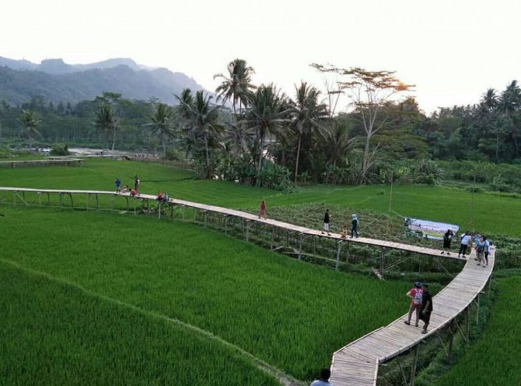 Wisata Kulon Ndeso via Instagram.com @kulundeso, 1. Candi Borobudur, 2. Rafting di Sungai Progo Atas, 3. Alun-alun Kota Magelang, 4. Air Terjun Kedung Kayang, 5. Taman Kyai Langgeng, 6. Ketep Pass, 7. Air Terjun Sekar Langit, 8. Rumah Kamera, 9. Candi Mendut, 10. Candi Pawon, 11. Gunung Andong, 12. Candi Selogriyo, 13. Gunung Tidar, 14. Curug Grenjengan Kembar, 15. Punthuk Setumbu, 16. Trekking Gunung Merbabu, 17. Curug Silawe, 18. Pemandian Air Hangat Candi Umbul, 19. Taman Badaan, 20. Museum Sudirman, 21. Pinusan Kragilan Magelang, 22. Candi Canggal, 23. Candi Ngawen, 24. Candi Lumbung, 25. Pemandian Kali Bening, 26. Air Terjun Kedung Kayangan, 27. Gardu Pandang Babadan, 28. Arung Jeram Kali Elo, 29. Telaga Bleder, 30. Gardu Pandang Bukit Barede, 31. Gardu Pandang Dlimas, 32. Gardu Pandang Mangli, 33. Sukmojoyo Hill, 34. Hutan Pinus Grenden, 35. Gereja Ayam di Dusun Gombong, 36. Punthuk Setumbu, 37. Kedung Sembrani, 38. Gunung Telomoyo, 39. Silancur Highland, 40. Bukit Grenden, 41. Curug Sigetik, 42. Puntuk Mangir Gunung Payung, 43. Bukit Rhema, 44. Hutan Pinus Wisata Mangli, 45. Jurang Jero, 46. OHD Museum, 47. Gunung Giyanti, 48. Curug Watu Ploso, 49. Klenteng Liong Hok Bio, 50. Curug Gleyor, 51. Punthuk Mongkrong, 52. Bukit Sleker, 53. Curug Lawang Kori, 54. Bukit kertojoyo, 55. Taman Ramadanu, 56. Puncak Seoloyo, 57. Taman Wisata Kopeng, 58. Bukit Gancik Selo Boyolali, 59. Gunung Sumbing, 60. Punthuk Kendil, 61. Bukit Harapan Cuntel, 62. Kebun Durian Candimulyo, 63. Jembatan Gantung Mangunsuko, 64. Air Terjun Goa Slandak, 65. Air Terjun Sumuran, 67. Museum Kapal Samudraraksa, 68. Karesidenan Kedu, 69. New Selo, 70. Taman Dewari, 71. Desa Wisata Candirejo, 72. Svargabumi Borobudur, 73. Awang-awang Telomoyo, 74. Ladon Little Island, 75. Candi Retno, 76. Wisata Petik Salak Gapoktan Ngudi Luhur, 77. Pesona Cempurung, 78. Gardu Pandang Cepogo, 79. Taman Garempong Bringin Kulon, 80. Sendang Mudal, 81. Curug Dlimas, 82. Museum Diponegoro, 83. Curug Sikencling, 84. Sendang Maren, 85. Citraelo Rafting, 86. Desa Wisata Ngawen, 87. Wisata Kulon Ndeso, 88. Taman Bunga Matahari, 89. Taman Hanya Untukmu, 90. Junkyard Autopark & Cafe, 91. Balkondes Ngadiharjo, 92. Banyuroto, 93. Bukit Dagi, 94. Jembatan Gantung Srowol, 95. Candi Asu, 96. Persawahan Permitan, 97. Bakorwil II Magelang, 98. Kebun Bibit Senopati