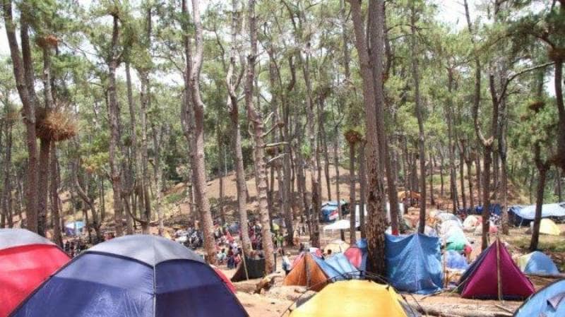 Wisata Hutan Pinus Rombeng via Tribunnews - Tempat Wisata di Bantaeng, 1. Pantai Seruni, 2. Pantai Marina, 3. Bukit Rumbia, 4. Gunung Daulu, 5. Agrowisata Loka, 6. Air Terjun Bissappu, 7. Air Terjun Eremerasa, 8. Air Terjun Mattep, 9. Air Terjun Bossola, 10. Air Terjun Simoko, 11. Agrowisata Uluere, 12. Air Terjun Cekala, 13. Mini Showfarm Bantaeng, 14. Bukit Muntea, 15. Jembatan Bonto Salluang, 16. Balla Lompoa Bantaeng, 17. Air Terjun Baruttung, 18. Puncak Gunung Loka, 19. Pemandian Borong Lompoa, 20. Wisata Latar Hijau, 21. Air Terjun Bialo, 22. Wisata Hutan Pinus Rombeng