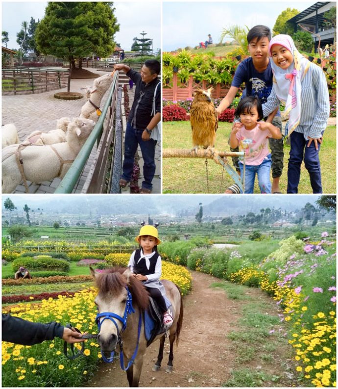 Happyfarm Ciwidey via Instagram.com @ananda_yuniarto16, @rikanggana