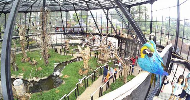 Lembang Park & Zoo, 1. Edukasi Taman Lalu Lintas Ade Irma Suryani, 2. Edukasi Taman Superhero, 3. Edukasi Kebun Binatang Bandung, 4. Edukasi Phantasia Barbie Gallery, 5. Wisata Padepokan Dayang Sumbi, 6. Wisata Kampung Gajah, 7. Edukasi Jendela Alam, 8. Edukasi Saung Angklung Udjo, 9. Edukasi Bandung Science Center, 10. Edukasi Crayon’s Craf & Co, 11. Taman Kupu Cihanjuang, 12. Karang Setra Waterpark, 13. Taman Bermain MIM, 14. Trans Studio, 15. Kebun Strawberry Ciwidey, 16. Miss Bee Providore, 17. Gang Sereh, 18. Maya Hirai School of Origami, 19. SPICE Camp (Spirit Camp Educity), 20. Komunitas Hong, 21. Crayon’s Craft & Co, 22. Rumah Batik Komar, 23. The Farm House, 24. Ciwidey Valley Waterpark Resort, 25. Kampung Batu Malakasari, 26. Bandung Carnival Land, 27. Ranca Upas, Ciwidey, 28. Kampung Dago Pojok, 29. Dusun Bambu Family Leisure Park, 30. Park Hopping, 31. De’Ranch, 32. Dago Dream Park, 33. Fairy Garden (Fairy Garden By The Lodge), 34. Lembang Park & Zoo, 35. Sudut Pandang Bandung, 36. Terminal Wisata Grafika Cikole