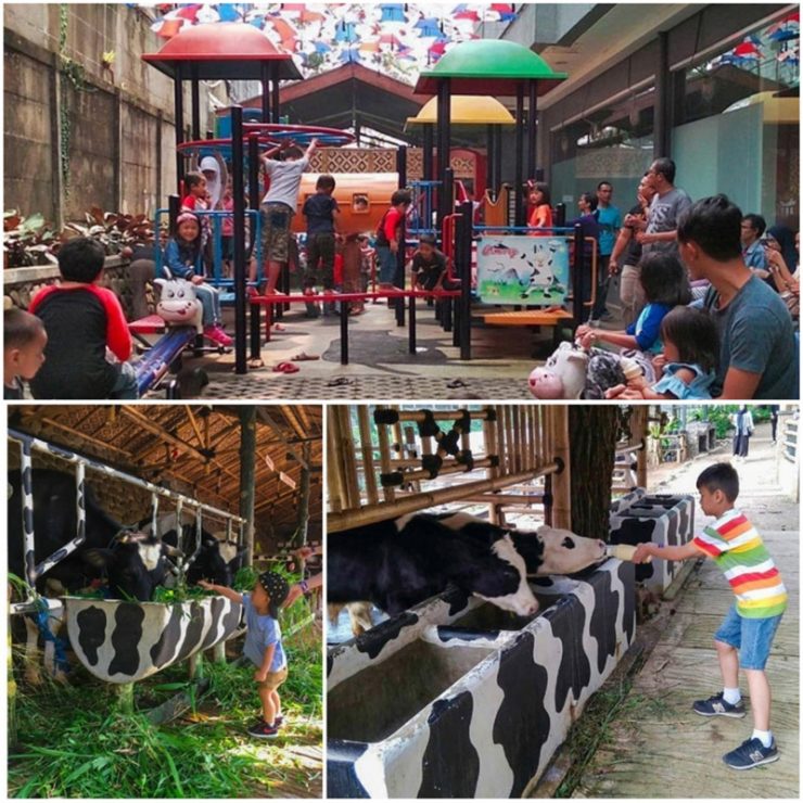 Photo Via Baniwulan, Jassperjaycefoe_fardhan_pradygta, 1. Little Venice, 2. The Jungle Water Adventure, 3. Taman Sakura, 4. Taman Safari, 5. Wana Wisata Penangkaran Rusa Giri, 6. Taman Buah Mekarsari, 7. De Ranch Cisarua, 8. Kampung Budaya Sindangbarang, 9. Melrimba Garden, 10. Kuntum Farm Field, 11. Taman Budaya Sentul, 12. Taman Wisata Matahari, 13. Marcopolo Water Adventure, 14. Museum Zoologi Bogor, 15. Tirta Sanita Ciseeng, 16. Situ Gede, 17. Agro Gunung Mas, 18. Air Terjun Bidadari, 19. Taman Riung Gunung, 20. Istana Bogor, 21. Kebun Raya Bogor, 22. Cimory Dairyland Puncak, 23. The Farm Pancawati, 24. Devoyage, 25.  Jungleland Adventure Theme Park, 26. Water Joy Waterpark, 27. Cimory Riverside, 28. Rumah Air Resto, 29. Cibalung Happy Land, 30. EcoArtPark Sentul, 31. Water Park SKI, 32. Water Kingdom Mekarsari