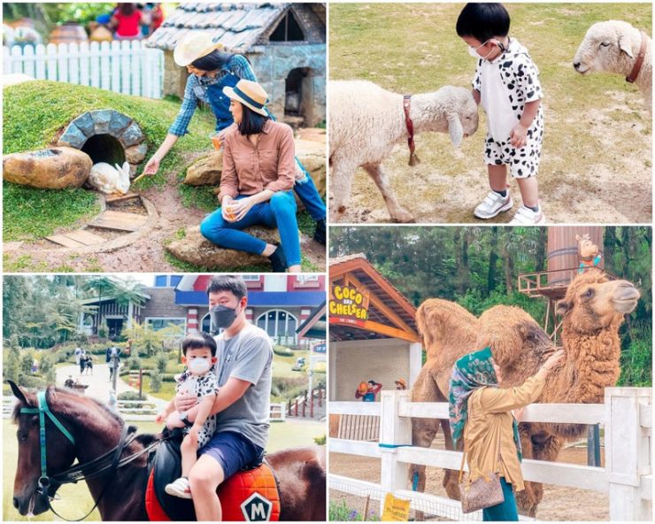 Photo Via Luke.percival_, Cindyolivia90, 1. Little Venice, 2. The Jungle Water Adventure, 3. Taman Sakura, 4. Taman Safari, 5. Wana Wisata Penangkaran Rusa Giri, 6. Taman Buah Mekarsari, 7. De Ranch Cisarua, 8. Kampung Budaya Sindangbarang, 9. Melrimba Garden, 10. Kuntum Farm Field, 11. Taman Budaya Sentul, 12. Taman Wisata Matahari, 13. Marcopolo Water Adventure, 14. Museum Zoologi Bogor, 15. Tirta Sanita Ciseeng, 16. Situ Gede, 17. Agro Gunung Mas, 18. Air Terjun Bidadari, 19. Taman Riung Gunung, 20. Istana Bogor, 21. Kebun Raya Bogor, 22. Cimory Dairyland Puncak, 23. The Farm Pancawati, 24. Devoyage, 25.  Jungleland Adventure Theme Park, 26. Water Joy Waterpark, 27. Cimory Riverside, 28. Rumah Air Resto, 29. Cibalung Happy Land, 30. EcoArtPark Sentul, 31. Water Park SKI, 32. Water Kingdom Mekarsari