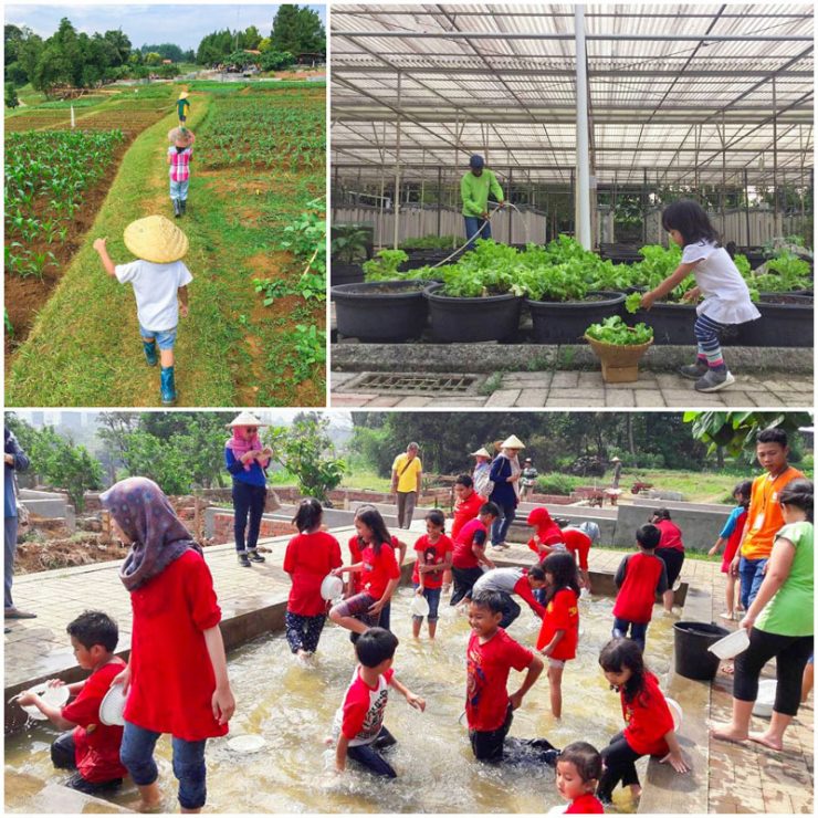 Photo Via isti_handayani_, ardyarini, susilowati, haryanto, 1. Little Venice, 2. The Jungle Water Adventure, 3. Taman Sakura, 4. Taman Safari, 5. Wana Wisata Penangkaran Rusa Giri, 6. Taman Buah Mekarsari, 7. De Ranch Cisarua, 8. Kampung Budaya Sindangbarang, 9. Melrimba Garden, 10. Kuntum Farm Field, 11. Taman Budaya Sentul, 12. Taman Wisata Matahari, 13. Marcopolo Water Adventure, 14. Museum Zoologi Bogor, 15. Tirta Sanita Ciseeng, 16. Situ Gede, 17. Agro Gunung Mas, 18. Air Terjun Bidadari, 19. Taman Riung Gunung, 20. Istana Bogor, 21. Kebun Raya Bogor, 22. Cimory Dairyland Puncak, 23. The Farm Pancawati, 24. Devoyage, 25.  Jungleland Adventure Theme Park, 26. Water Joy Waterpark, 27. Cimory Riverside, 28. Rumah Air Resto, 29. Cibalung Happy Land, 30. EcoArtPark Sentul, 31. Water Park SKI, 32. Water Kingdom Mekarsari