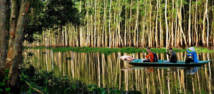 Xeo Quyt Forest, 1. Halong Bay, 2. Ho Tay Water Park, 3. St Joseph Cathedral, 4. Xeo Quyt Forest, 5. War Remnants Museum, 6. Municipal Beach, 7. Hoa Lo Prison Museum, 8. Hanoi Old Citadel, 9. Hang Bac Temple, 10. Hoan Kiem Lake, 11. Nha Trang, 12. Vietnam Military History Museum, 13. Turtle Tower, 14. Hoi An, 15. Kota Ho Chi Minh, 16. Ba Na Hills, 17. Sa Pa Terraces, 18. Kota Hue, 19. Marble Mountains, 20. Con Dao Beach, 21. Hoi An, 22. Ba Be Lake, 23. Saigon Zoo, 24. Cat Ba, 25. Vinpearl Land, 26. Sapa, 27. Can Tho, 28. Pham Ngu Lao Street, 29. Pulau Phu Quoc, 30. Ban Gioc Detian, 31. The Sand Dunes, 32. Monument Hue, 33. Pagoda Jade Emperor, 34. Thien Mu Pagoda, 35. Taman Nasional Phong Nha-Ke Bang