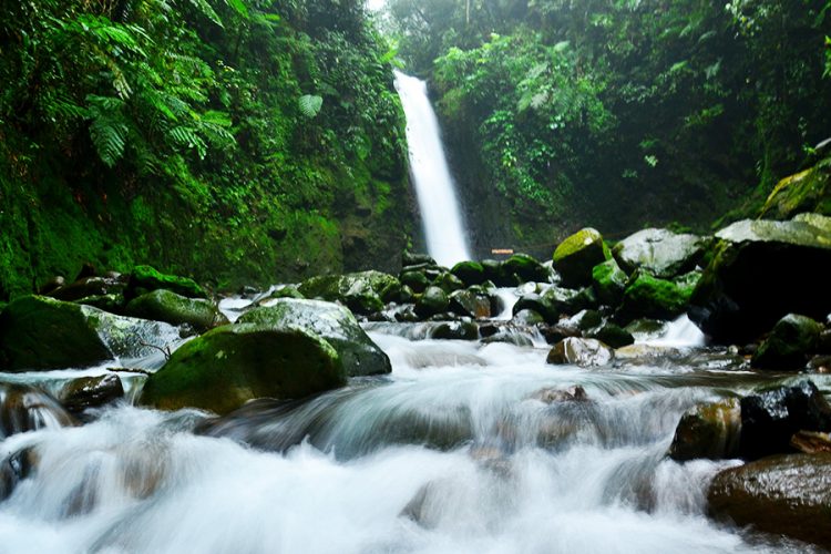 Curug Goa Lumut, 1. Curug Leuwi Hejo, 2. Curug Leuwi Lieuk, 3. Curug Leuwi Cepet, 4. Curug Cibaliung, 5. Curug Bojong Koneng, 6. Curug Kalimata, 7. Curug Bidadari Sentul, 8. Curug Barong, 9. Curug Ciburial, 10. Curug Kencana, 11. Curug Kembar, 12. Curug Cikuluwung, 13. Curug Hordeng, 14. Curug Zigzag, 15. Curug Nangka, 16. Curug Love, 18. Curug Goa Lumut, 19. Curug Batu Gede, 20. Curug Balong Endah, 21. Curug Cipeuteuy, 22. Curug Cariu, 23. Curug Ciherang, 24. Curug Cipamingkis