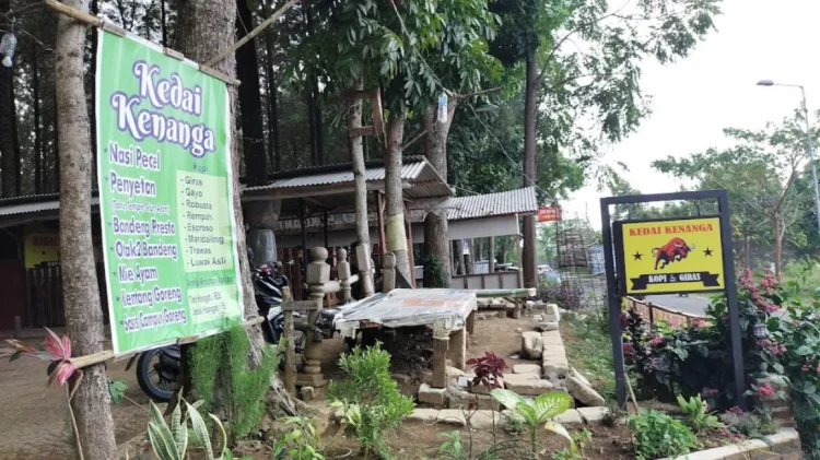 KEDAI KENANGA Trawas, 1. Cangkruan Onokabeh, 2. Coffee Oyiend, 3. Dapur Kurasa, 4. Tjingkir Songo, 5. Warung Alas Pinus, 6. Gartenhütte Kaffee und Aussicht, 7. Jungle Cafe, 8. LA VERDE CAFE, 9. Bustan Allaca, 10. Warung Kadutan, 12. KEDAI PIECU, 13. Cafe Sabin, 14. Sehati Cafe, 15. KEDAI KENANGA Trawas, 16. Elok Cafe, 17. Warung Coffee Oyie’nd, 18. Delta Cafe (Tutup), 19. Sunrise Cafe Trawas, 20. Teras Treteh, 21. D, Caffee, 22. WARUNG MEMORI, 23. Warkop Trawas, 24. BACoffee (BumiAngkerCoffee), 25. Gartenhütte. Kaffee und Aussicht, 26. Alas Trawas by Santoso Group (REAL), 27. Dimensi Kopi, 28. SBC ( Sawah Bar Cafe ), 29. Griya Cafe Trawas, 30. Paido Trawas