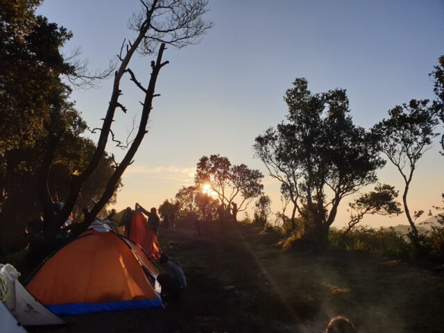 Berkemah Penuh Keseruan via Google Maps Yulia Agnis, Informasi Umum, Lokasi Gunung Papandayan, Rute Menuju TWA Gunung Papandayan, Jam Buka Taman Wisata Alam Gunung Papandayan, Harga Tiket Masuk TWA Gunung Papandayan, Fasilitas TWA Gunung Papandayan, Daya Tarik, Aktivitas Seru