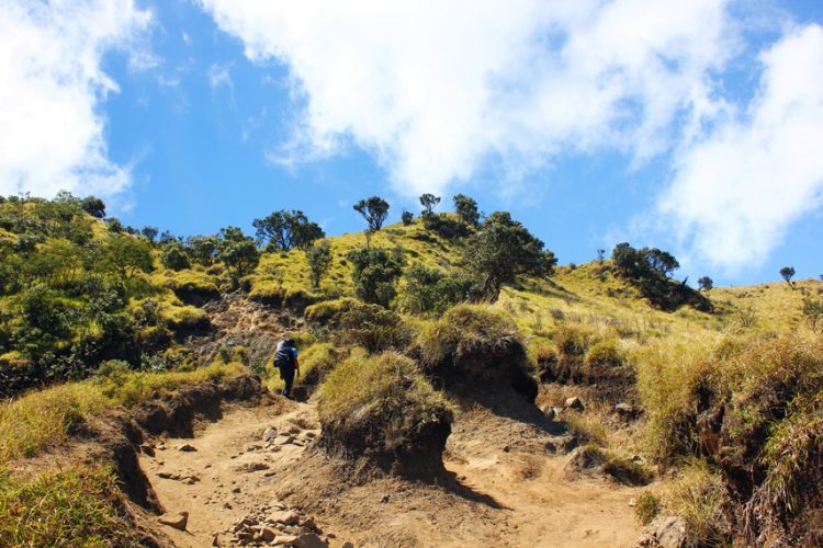 Jalur tanjakan untuk menuju puncak via Indonesia Kaya, Serba – Serbi Gunung Merbabu Jawa Tengah, Misteri Gunung Merbabu yang Cukup Terkenal, Lokasi Wisata Puncak Merbabu, Rute Jalur Pendakian Gunung Merbabu Jawa Tengah, Tips Mendaki Puncak Gunung Merbabu, Anjuran / Saran Bagi Para Pendaki