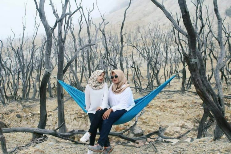 Mengunjungi Hutan Mati Gunung Papandayan, Informasi Umum, Lokasi Gunung Papandayan, Rute Menuju TWA Gunung Papandayan, Jam Buka Taman Wisata Alam Gunung Papandayan, Harga Tiket Masuk TWA Gunung Papandayan, Fasilitas TWA Gunung Papandayan, Daya Tarik, Aktivitas Seru