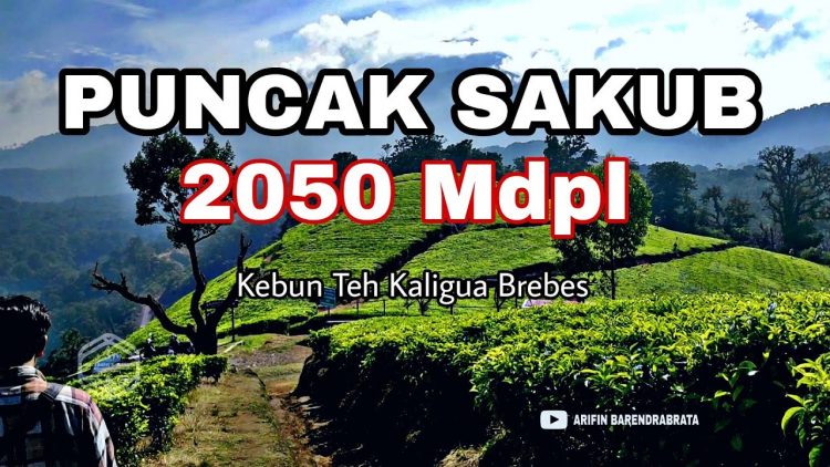 Puncak Sakub via Youtube Arifin Barendrabrata, 1. Waduk Penjalin, 2. Hutan Mangrove Kaliwlingi, 3. Pantai Randusanga / Randusongo, 4. Agrowisata Besaran, 5. Wisata Pasir Gibug, 6. Masjid Agung Brebes, 7. Kalibaya Park, 8. Pabrik Gula Jatibarang, 9. Taman Edukasi, 10. Curug Putri, 11. Kebun Teh Kali Gua, 12. Candi Pangkuan, 13. Air Terjun Ranto Canyon, 14. Kampung Budaya Dusun Jalaswatu, 15. Pemandian Air Panas Tirta Husada, 16. Pemandian Air Panas Cipanas Buaran, 17. Ciblon Waterboom, 18. Bukit Cawiri, Dadablangan Malahayu, 19. Waduk Malahayu, 20. Cagar Alam Telaga Ranjeng, 21. Bukit Panenjoan, 22. Bukit AADT yang Menawan , 23. Bukit Baper yang Menawan , 24. Puncak Sakub, 25. Alun – Alun Brebes, 26. Pulau Hantu Sigempol, 27. Bukit Bintang Capar yang eksotik, 28. Gunung Gora, 29. Curug Cantel, 30. Kebon Gedhang, 31. Bukit Gerdesy – Taman Gerdesty Cilibur, 32. Pulau Cemara Sawojajar Brebes, 33. Gunung Nyapa, 34. Curug Awu, 35. Curug Panyusuhan, 37. Curug Rambukasang yang tersembunyi, 38. Curug Lebak Beber Wetan